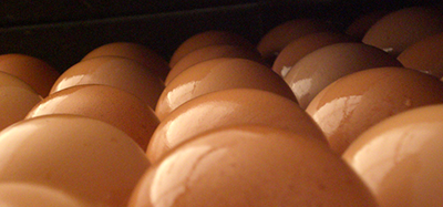 eggs_after_wash