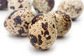 quail_eggs